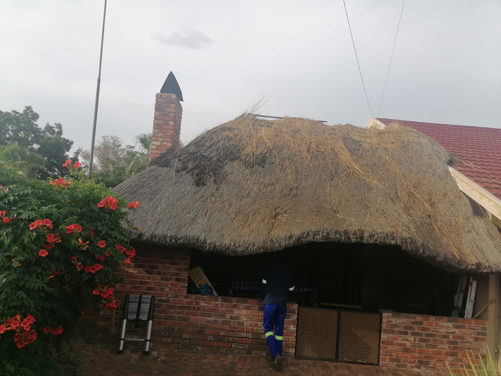 Thatch Roofing